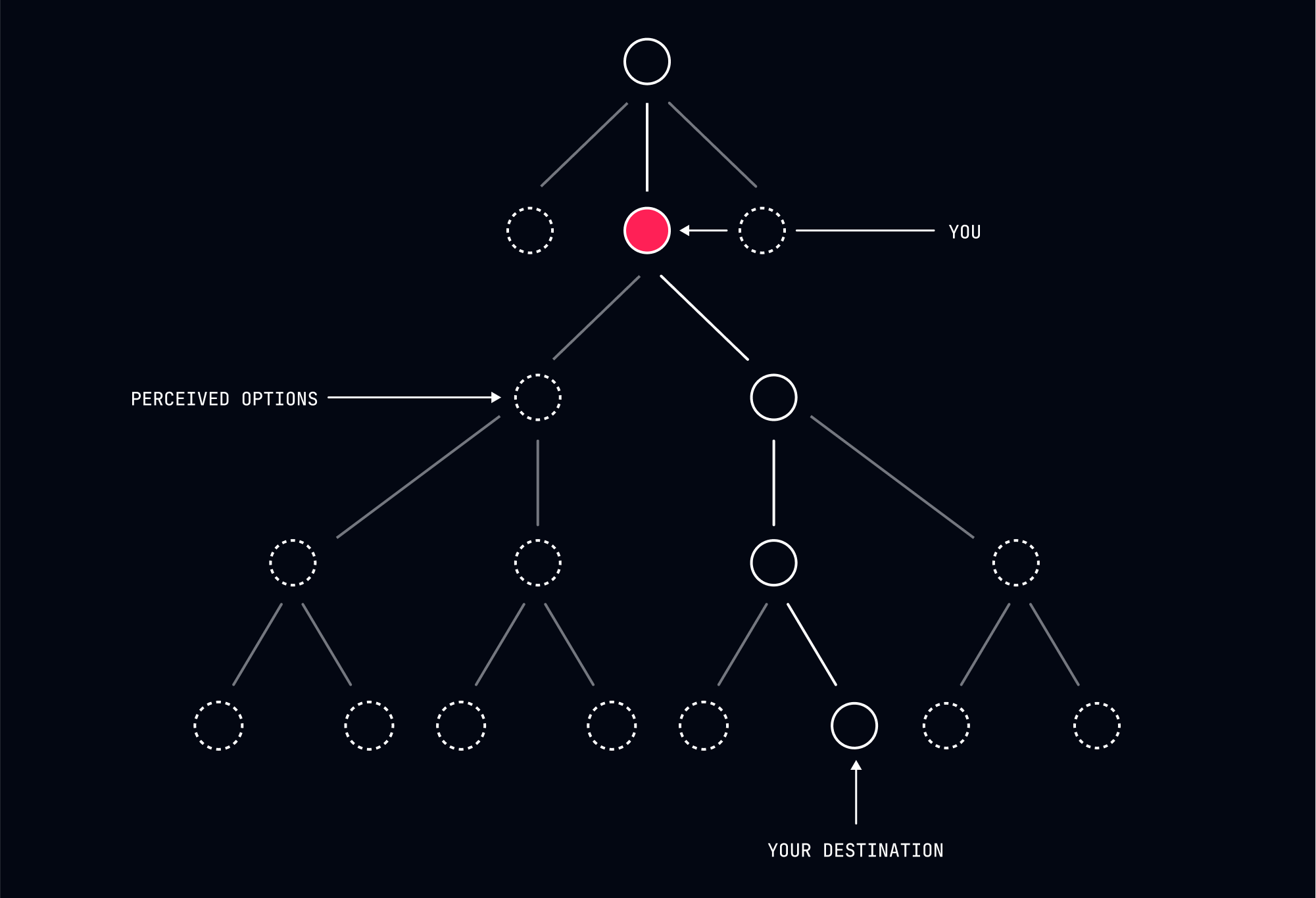 Perceived Options — dark