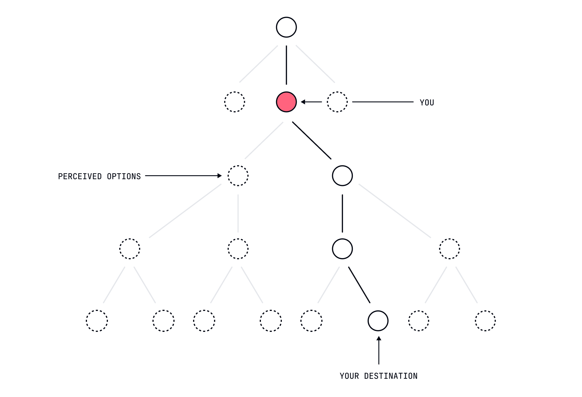 Perceived Options — light